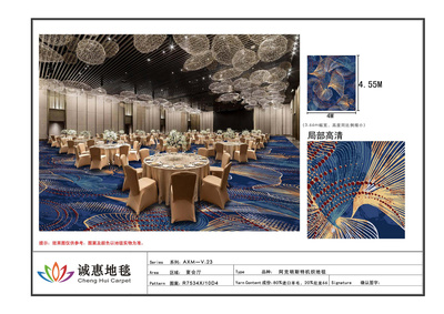 阿克明斯特V.23-N14