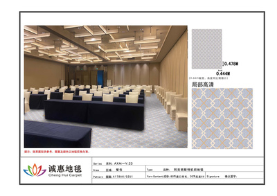 阿克明斯特V.23-P01