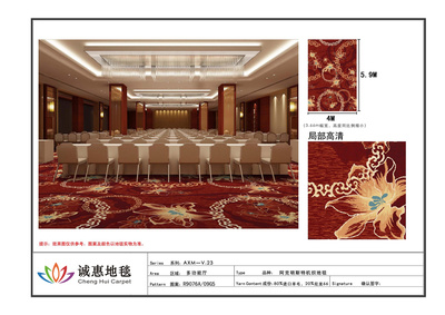 阿克明斯特V.23-O04