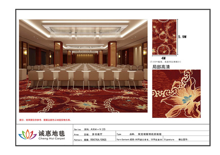阿克明斯特V.23-O04
