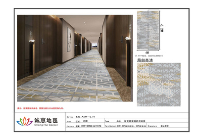 阿克明斯特V.19最终版_58