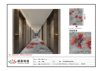 阿克明斯特V.19最终版_65